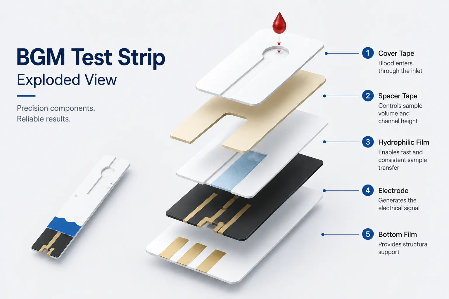 Exploded view of BGM test strip adhesive components